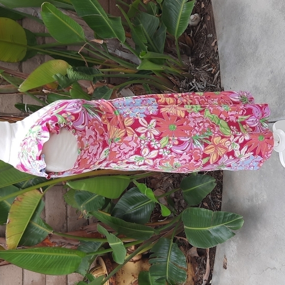 Lilly Pulitzer Shianne Azaela sleeveless vneck silk blend dress small - Picture 3 of 10